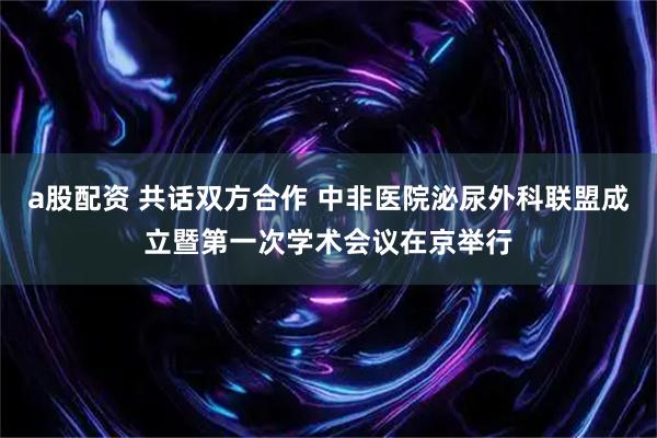 a股配资 共话双方合作 中非医院泌尿外科联盟成立暨第一次学术会议在京举行