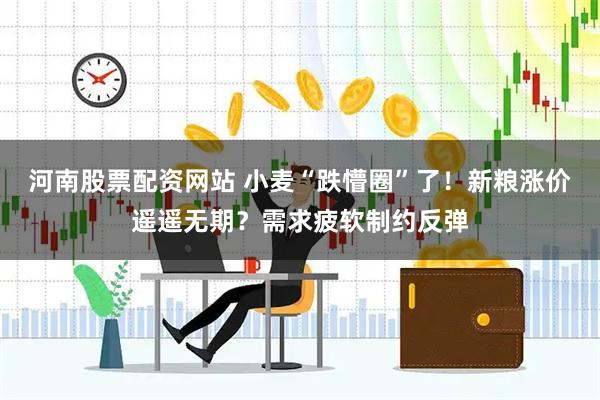 河南股票配资网站 小麦“跌懵圈”了！新粮涨价遥遥无期？需求疲软制约反弹
