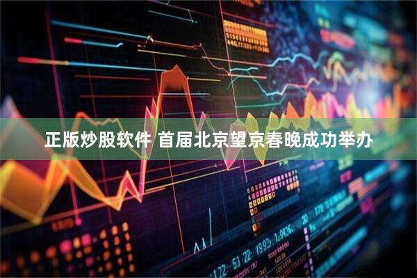 正版炒股软件 首届北京望京春晚成功举办