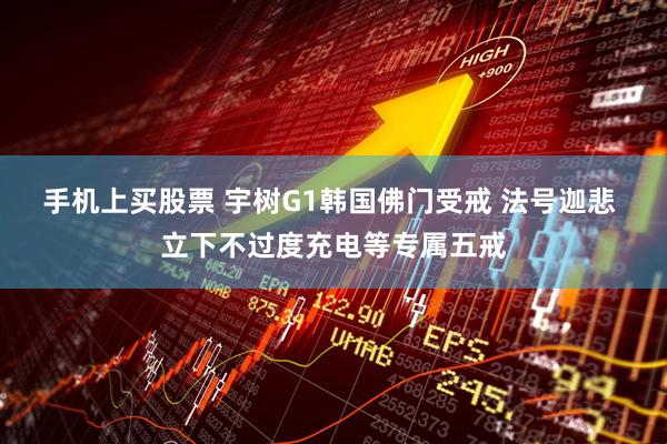 手机上买股票 宇树G1韩国佛门受戒 法号迦悲 立下不过度充电等专属五戒