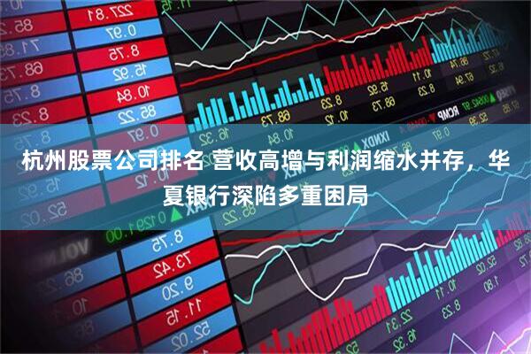 杭州股票公司排名 营收高增与利润缩水并存，华夏银行深陷多重困局